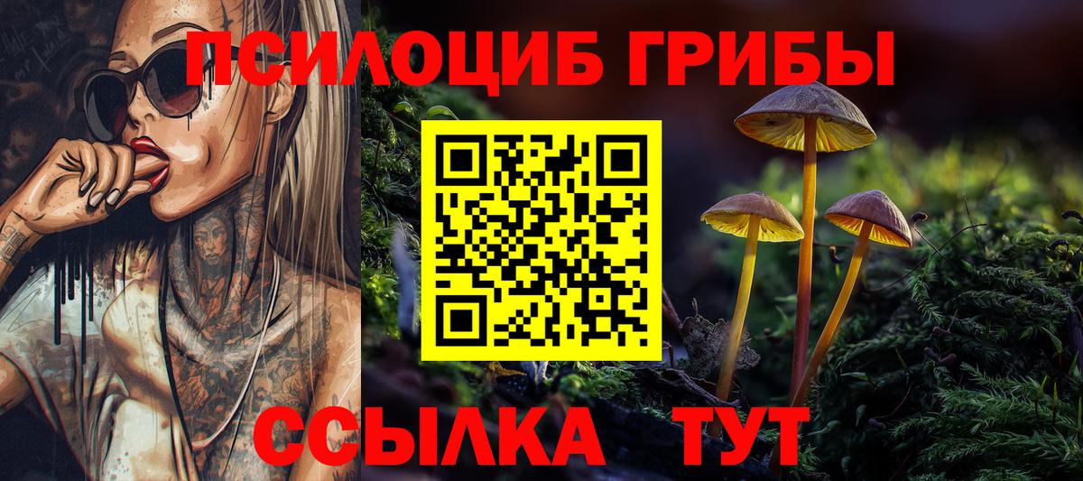 Галлюциногенные грибы Psilocybine cubensis Котлас
