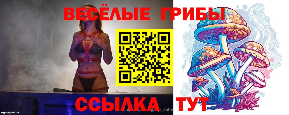 Котлас  Галлюциногенные грибы Psilocybe  Вход с VPN 