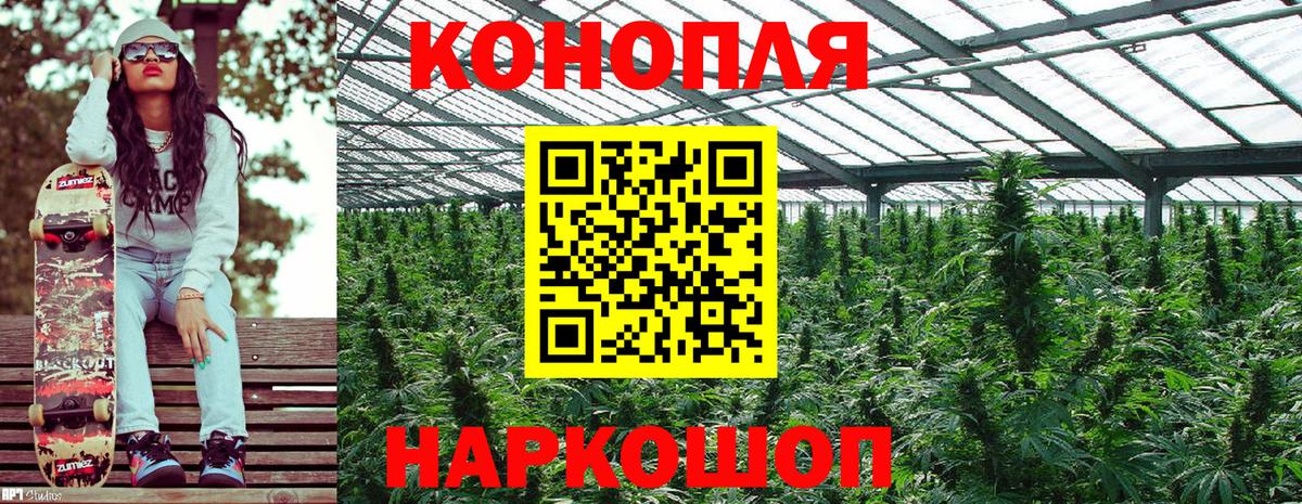 Канабис индика Котлас